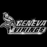 GLT102 SILVER GLITTER Thumbnail